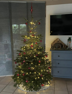 Unser Weihnachtsbaum